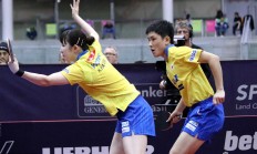 米兰体育-奥地利队碾压英格兰队，张本智和关键制胜的简单介绍