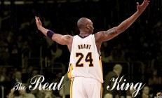 ac米兰体育官网-魔术横扫浙江队，霍勒迪惊艳四座，一场技术与意志的完美风暴