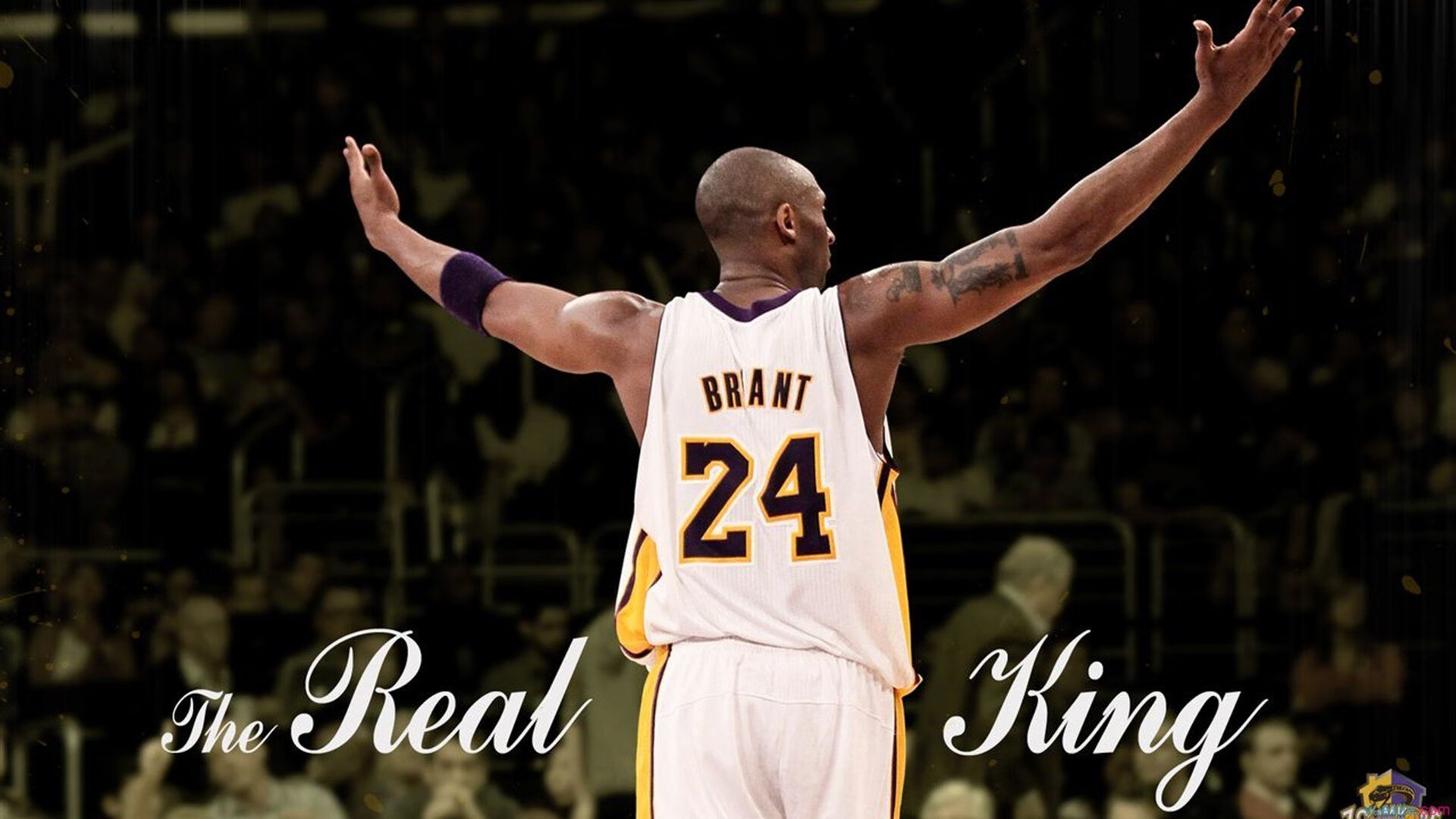 跨界主宰,从灰熊横扫到福克斯封神—唯一性的胜利法则