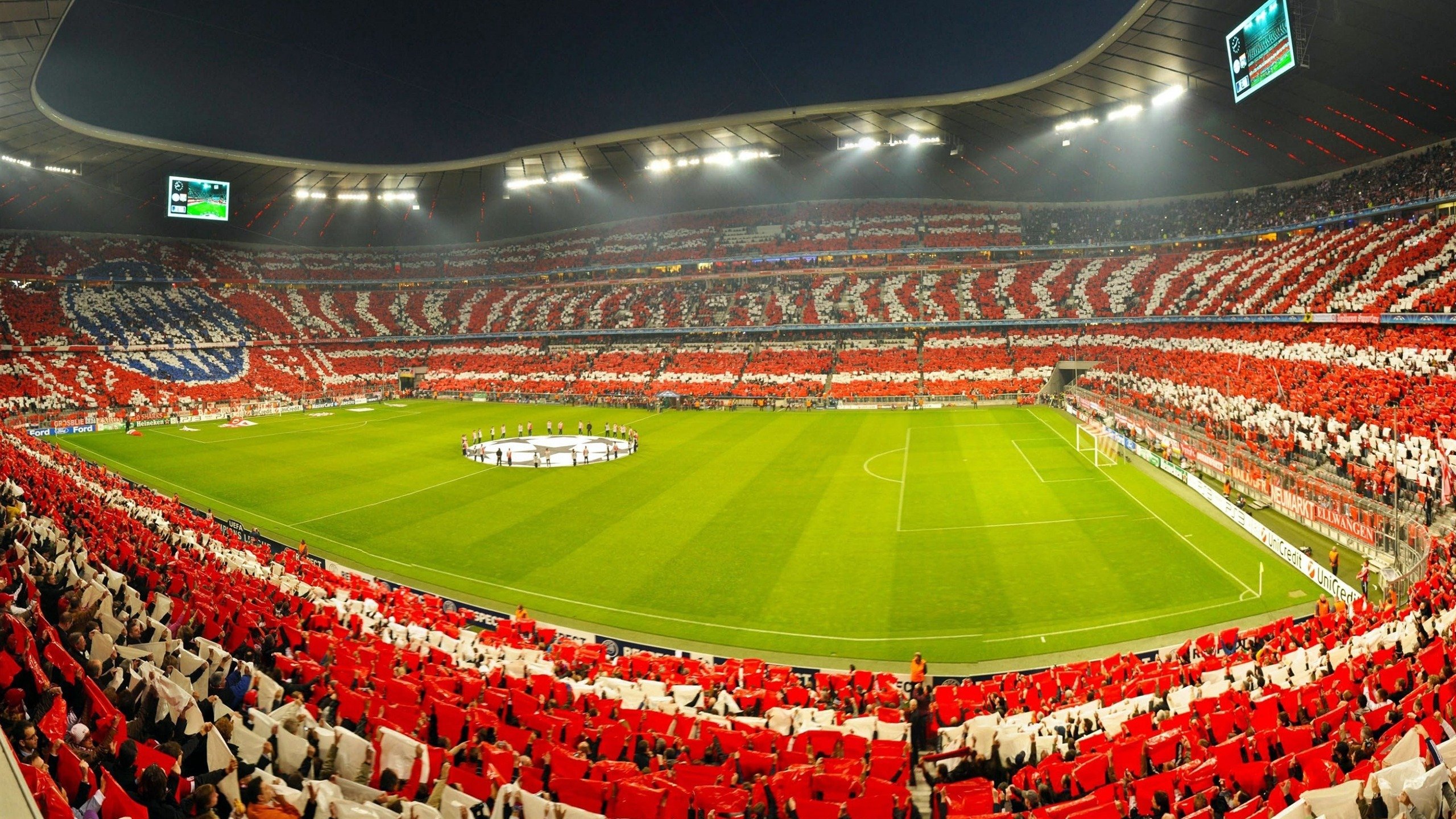 唯一性的回响,当紫百合在橙色海洋中绽放
